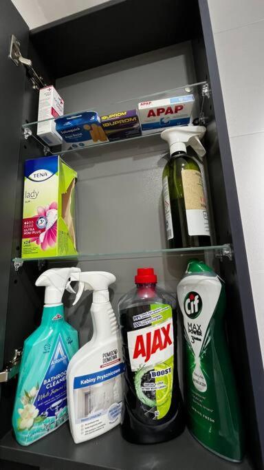 Gajowa Apartament Chorzów Eksteriør bilde